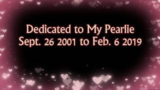 RIP My Beautiful Pearlie - 9.26.01 to 2.06.19