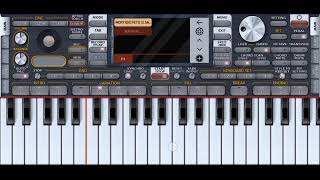 SET ORG NOS CRIOLOS 🔥🎹