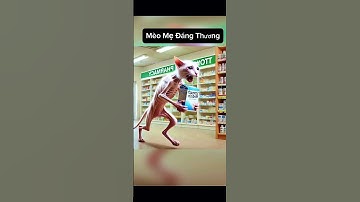 Mèo Mẹ Thật Cao Cả🥺 #ai #cat #aichatgpt #aishorts #funny #aigpt #cute #chatgpt #foryou