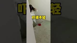 Ablamı hayalet olarak korkuttuğumda.