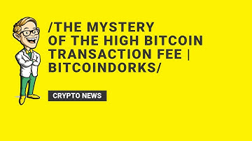 The Mystery of the High Bitcoin Transaction Fee | BitcoinDorks