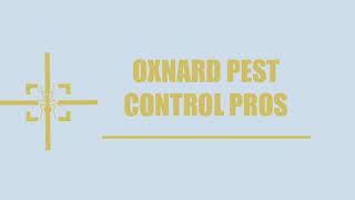 Oxnard Pest Control Pros-Mice Control Service in Oxnard CA