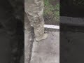 СТРОКОВИКИ ОБКОПУЮТЬ БОРДЮР