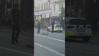 Duck Family Stops Traffic in Copenhagen