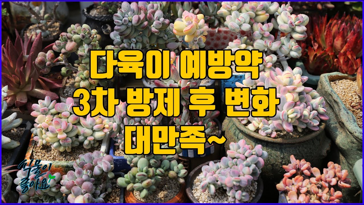 3 YouTube 3-youtube
