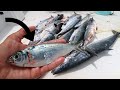 You NEED This Bait (Commercial Fishing)