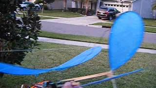 DSCF5496