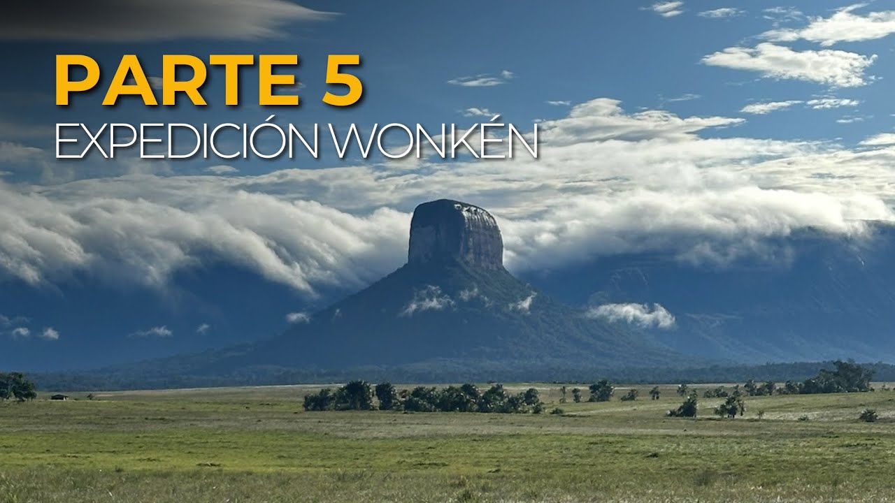 Wonkén | Parte 5 Final