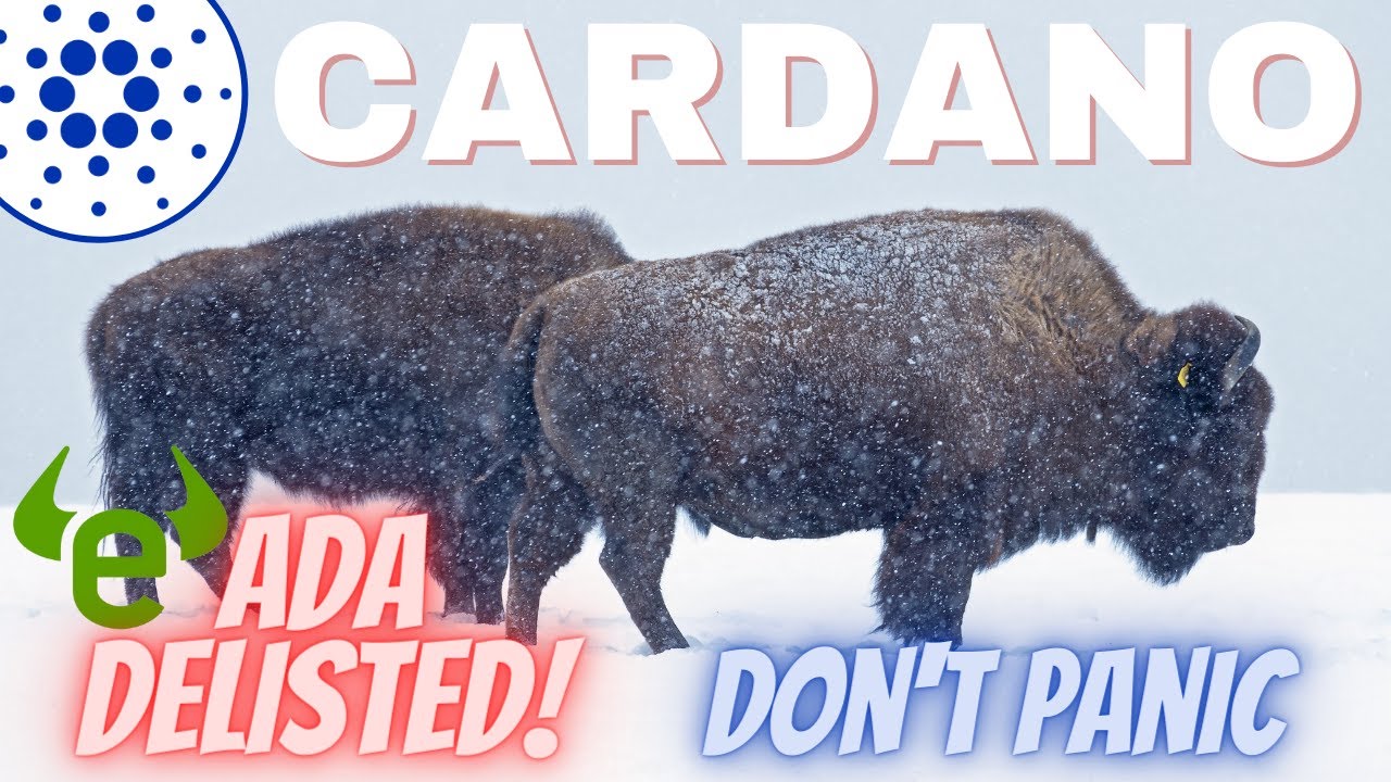 Cardano ADA Will Weather The Storm! Cardano Delisted From An Exchange! Should You Be Worried?.......