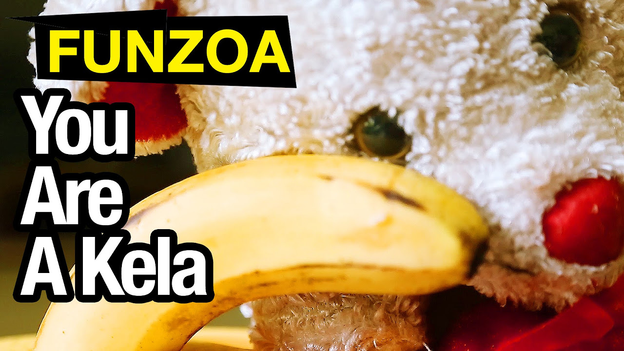 YOU ARE A KELA  Funny Banana Song In Hindi  Funzoa Parody Song  Superb Word Play  Naughty Song