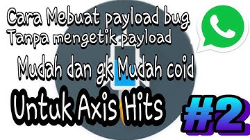 #2|Cara membuat payload Axis hits bug Whatsapp