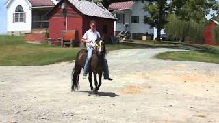 BO8-12-11 334.MP4