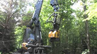 Sommerfutter Für Den Forwarder