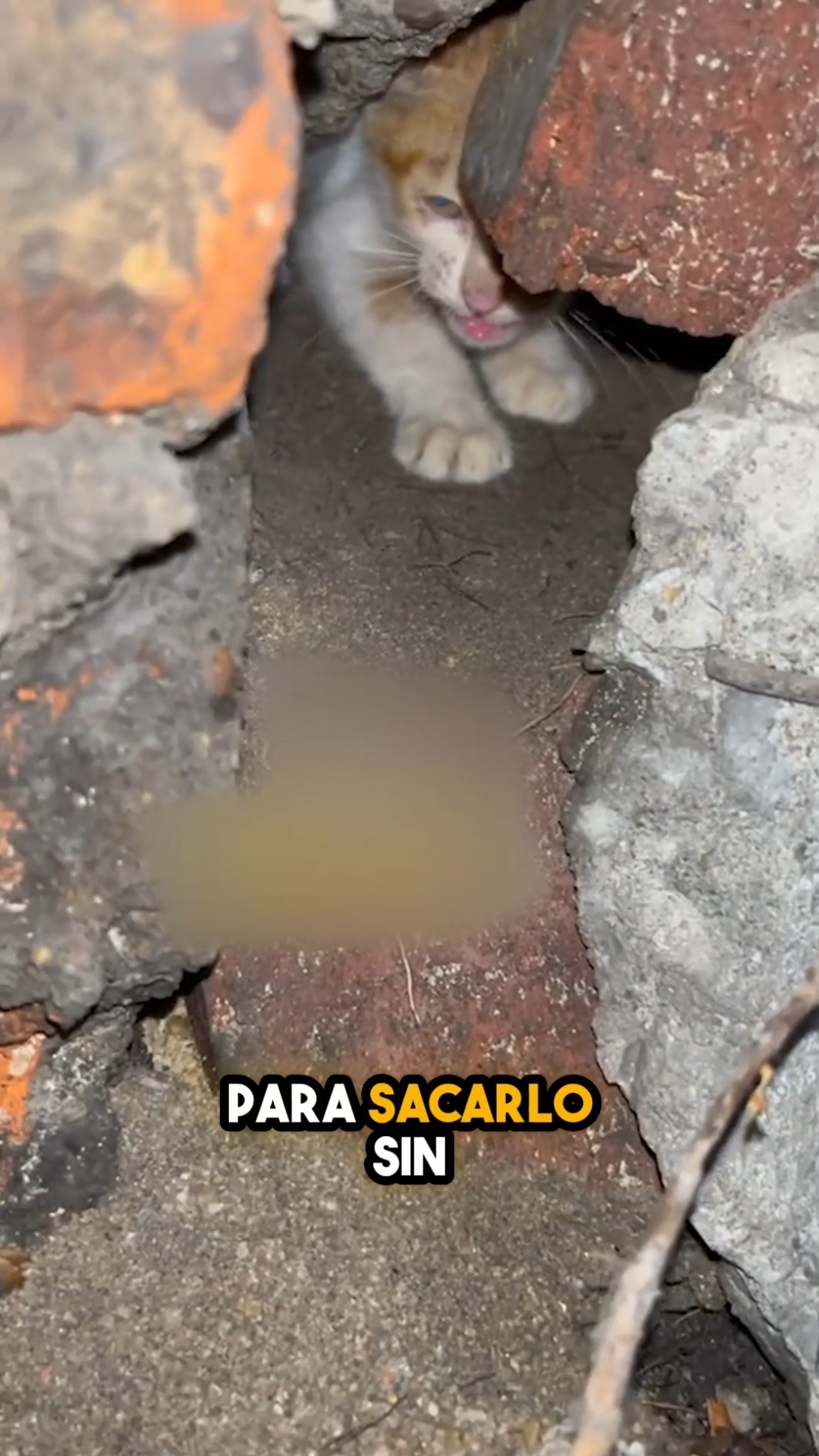 Estuvo 3 días atrapado en el desagüe… y esto fue lo que pasó ??
