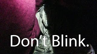 Any Doctor Who Fans? - Dont Blink.