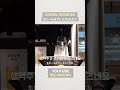 삿포로 생맥주보단 프리미엄 몰츠!