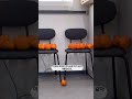 회사에 갑자기 나타난 대봉감 무리 😅 이웃집 청로로 대봉감요정 등장.. #이웃집토토로 #지브리 말고 #집우리 #이웃집청로로 #회사생활 #회사소개 #회사복지 #회사브이로그