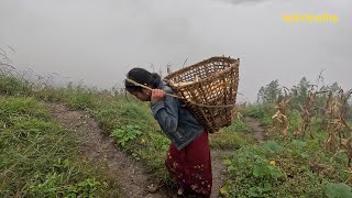 Himalayan People Share Their Daily Routines  Lajimbudha 