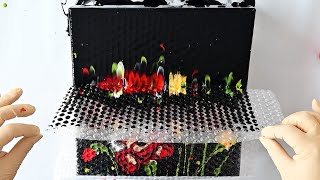 Relaxing Art: Bubble Wrap Reverse Flower Dip Acrylic Pour Painting - Easy Floral Technique by Fiona Art 6,861 views 1 month ago 10 minutes, 4 seconds