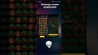 Apple of fortuna hack app #1xbet#winwin#wowbet#1win