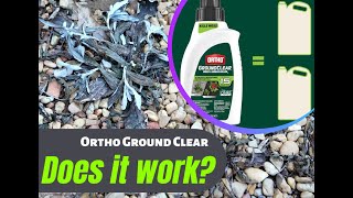 Ortho GroundClear #weedkiller #ortho #yardmaintenance