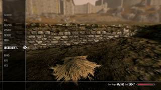 How to get Wheat ingredient - Skyrim