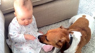 Adorable Babies Playing With Dogs | Dog And Baby Playing Compilation