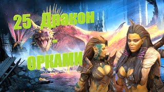 25 Дракон - Орками - RAID: shadow legends
