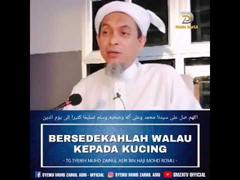 Syeikh Muhd Zainul Asri Bersedekahlah Walau Kepada Seekor Kucing Youtube
