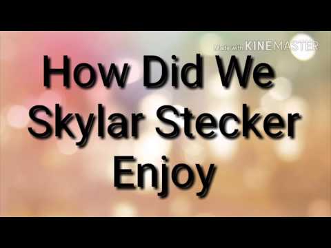 How Did We Skylar Stecker Lyrics