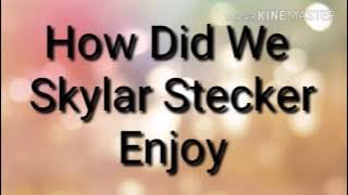 How Did We Skylar Stecker Lyrics