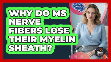 Why Do MS Nerve Fibers Lose Their Myelin Sheath? - MS Support Network