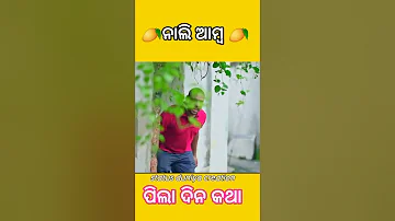 ନାଲି ଆମ୍ବ// mr gulua comedy// status duniya creation #shorts #mrguluacomedy #statusduniyacreation