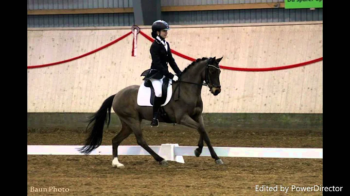 Festinas Satanta OG Emma A. Hansen