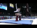 2013 Artistic Gymnastics World Championships - Men's FX, PH and SR Finals - We are Gymnastics!