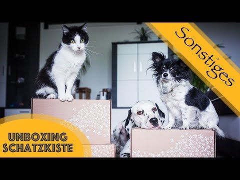 Unboxing #5 Schatzkisten von Zooroyal für Katzen oder Hunde / Produktauswerting / was ist drin?