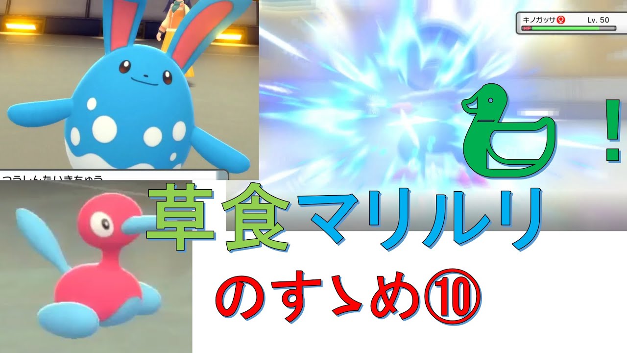 キノガッサを軽視 ポケモンダイパリメイク sp 草食マリルリのすゝめ Youtube キノガッサを軽視 ポケモンダイパリメイク sp 草食マリルリのすゝめ Youtube