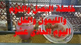 خلطة البصل والتوم والليمون السحريه ( اليوم الحادى عشر)