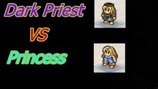 Princess Or Dark Priest Tactics Ogre Reborn