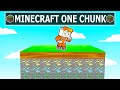 Minecraft but its ONE CUSTOM CHUNK