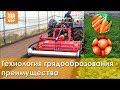 Гребнеобразователи. Технология возделывания овощных культур