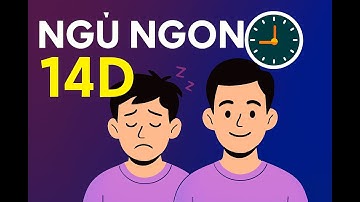 Giấc ngủ và đồng hồ sinh học — Thử thách 14 ngày để ngủ ngon hơn