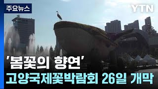 '봄꽃의 향연'...고양국제꽃박람회 26일 개막 / YTN