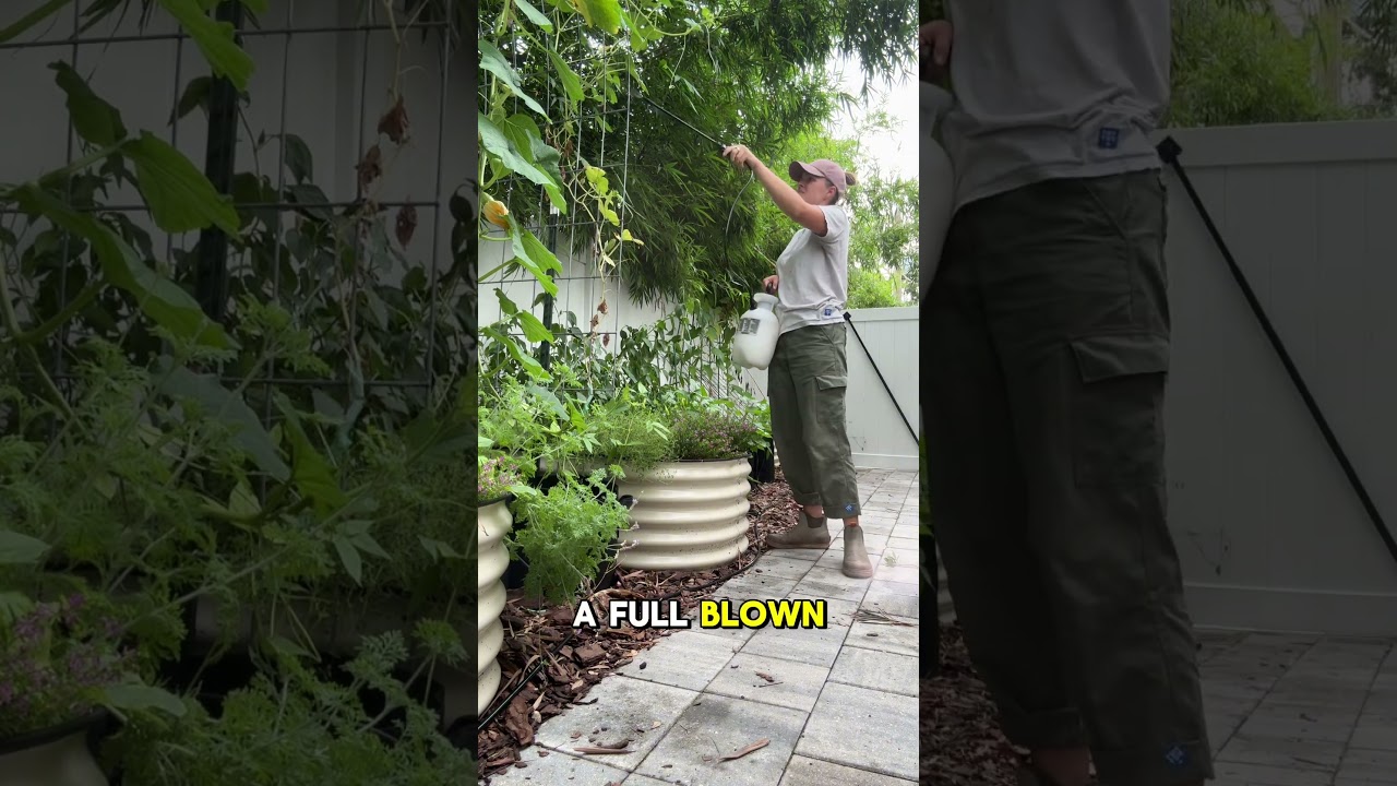 Florida gardeners- what’s bugging your garden this week?
