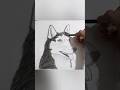 dog drawing easy ||sketch ||dog ||pet drawing ||tutorial ||#trending #dog ||trending ||how to draw