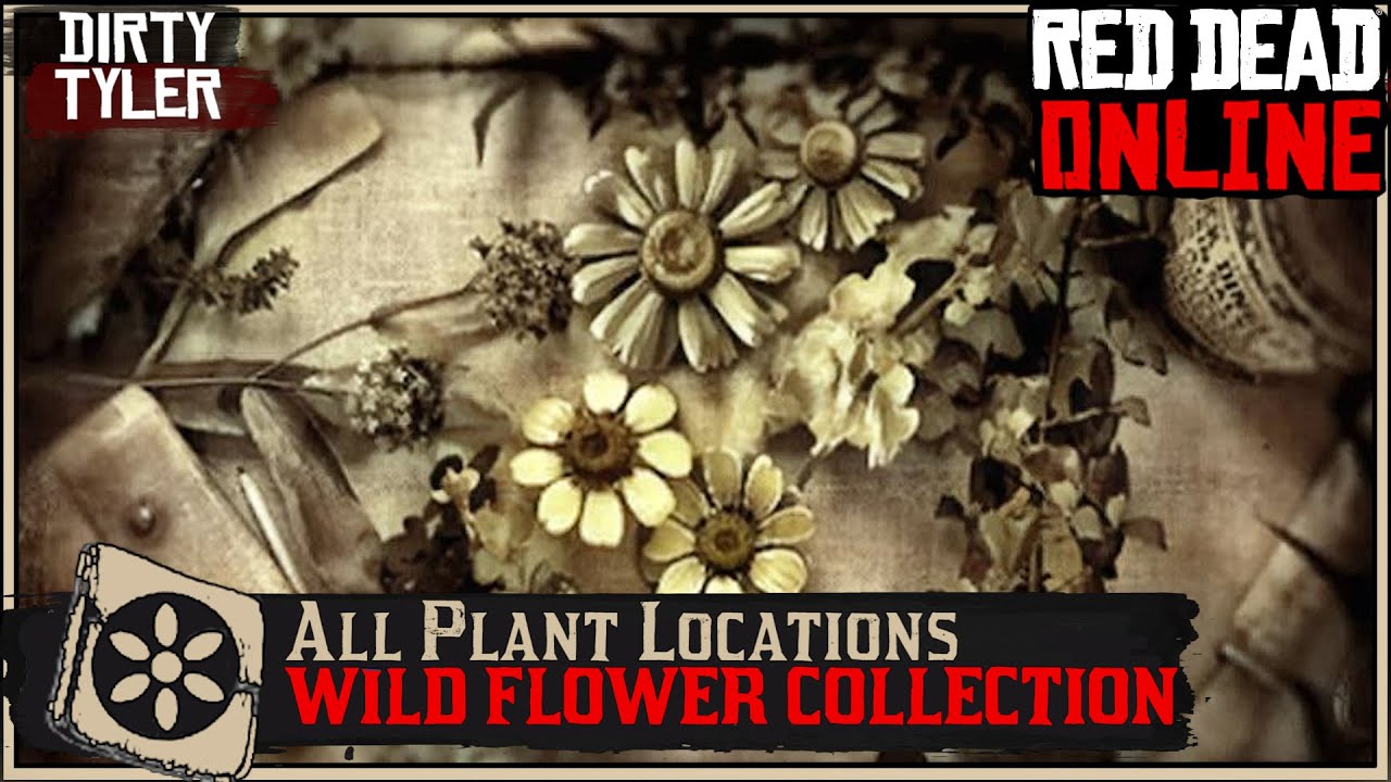 Wild American Flower Collection All Plant Locations Cycle 1 Red Dead Online RDR2 YouTube