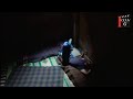 هارون الاشقر المشنقه العايبة مرجوحت الأبطال 