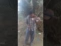 العازف منزر اسامة الطير المهاجر