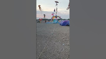 Đồng diều biển Rạch Bùn, Gò Công Đông