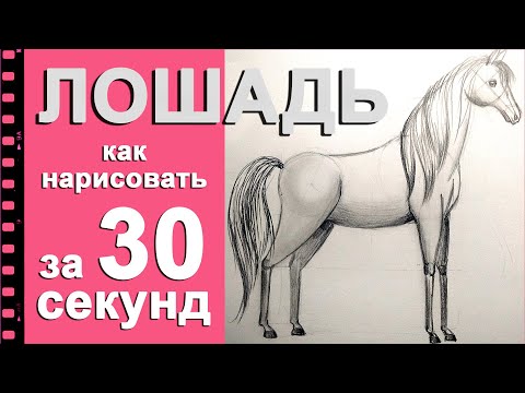 Как нарисовать лошадь Рисуем лошадь за 30 секунд.